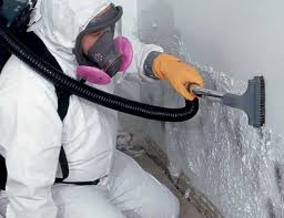 Best Airborne Mold Testing  in Alexandria, LA